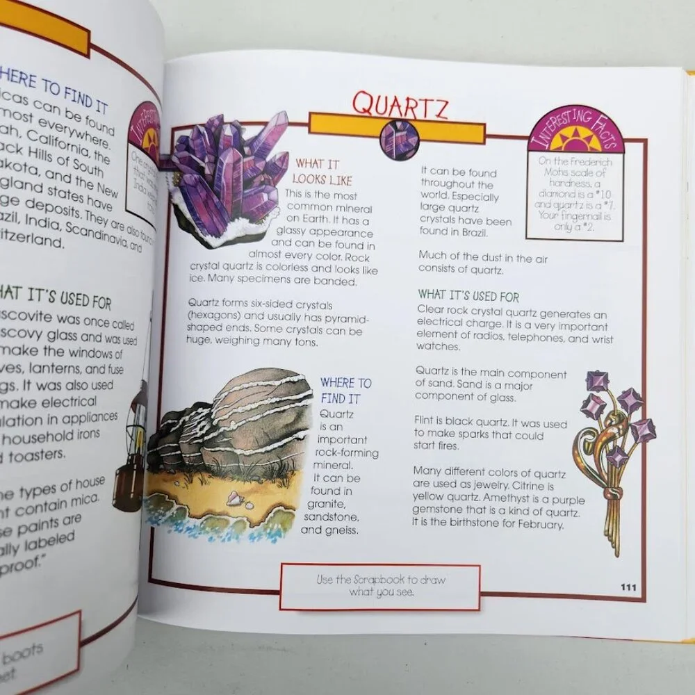 More Fun With Nature Take Along Guides Hardcover Book Activity Journal Craft